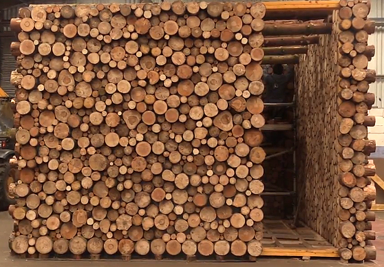 Общий вид деревянного павильона Kengo Kuma в Эдинбурге